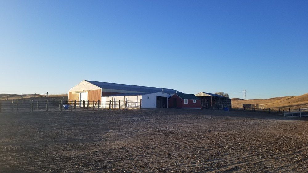 Montana Dream Property With Unlimited Options on 48+ Acres In Sidney: 12353 County Rd 348, Sidney, MT 59270